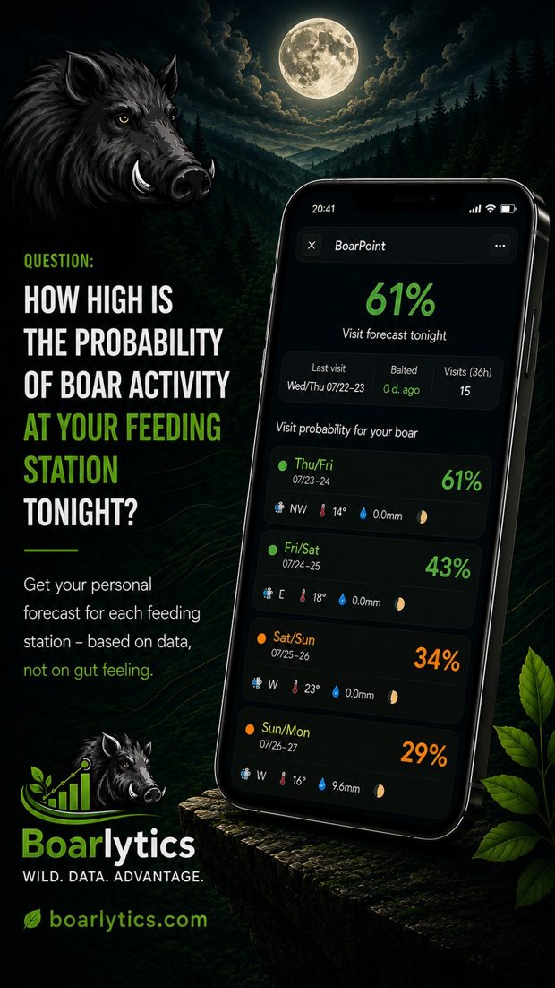 Store creative: How high is the probability of boar activity at your feeding station tonight?